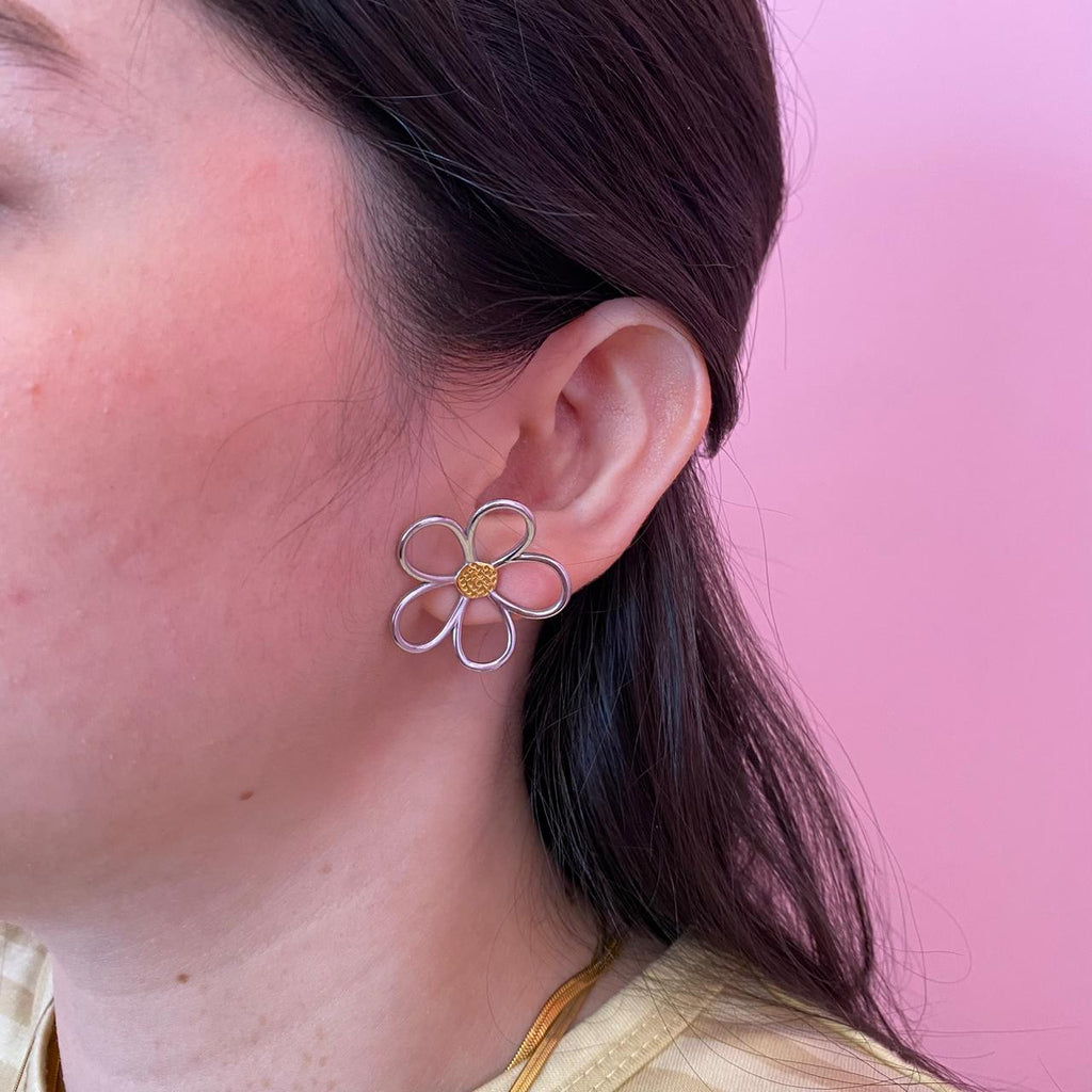 Aretes Sinuosa