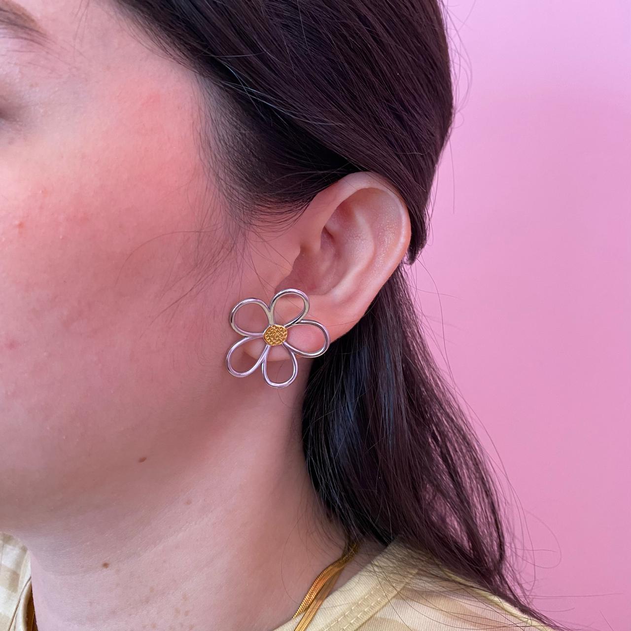 Aretes Sinuosa