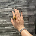 Anillo Volta