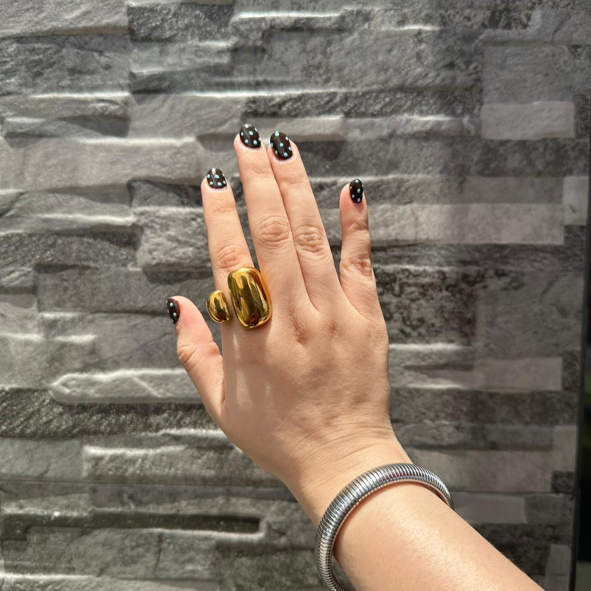 Anillo Volta