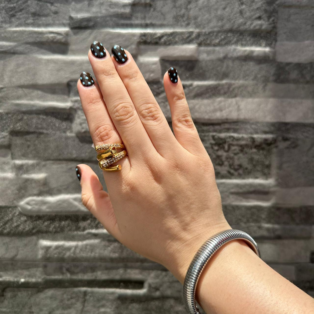Anillo Órbita