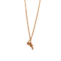 Collar Candado y Llave
